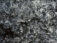 Load image into Gallery viewer, Twilight B&W