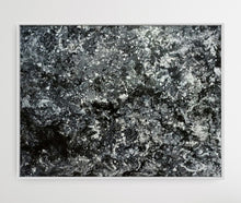 Load image into Gallery viewer, Twilight B&W